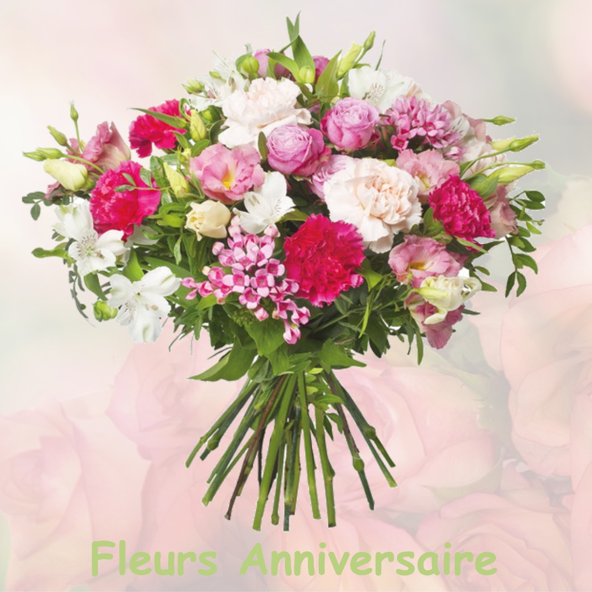 fleurs anniversaire VIGNOUX-SUR-BARANGEON