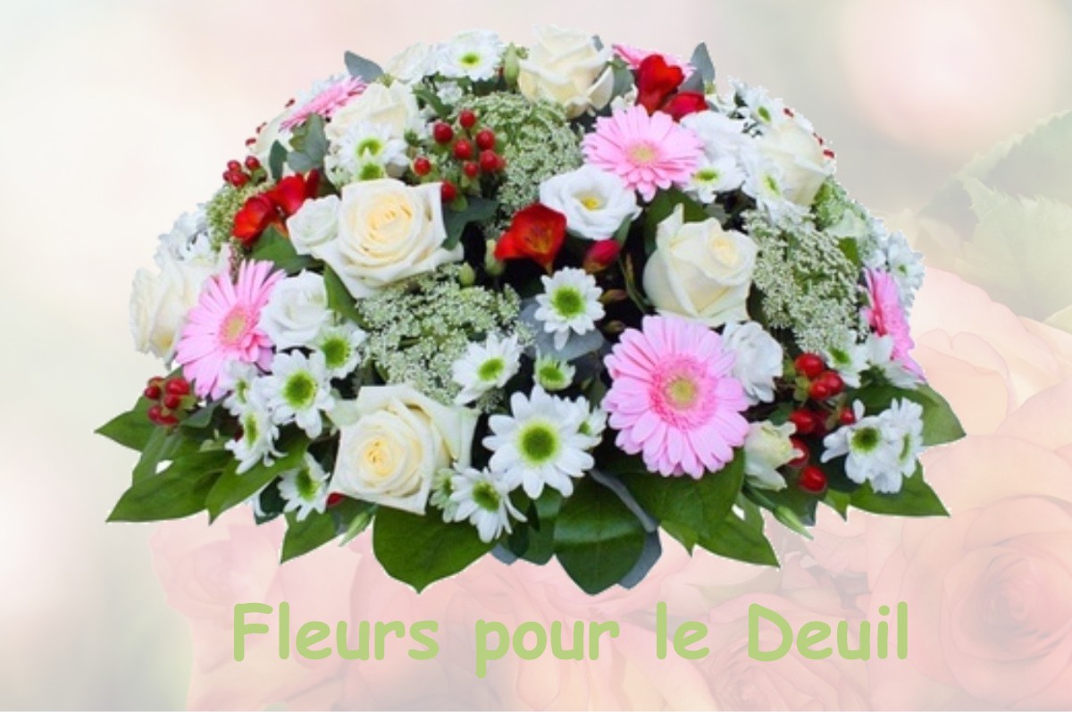 fleurs deuil VIGNOUX-SUR-BARANGEON